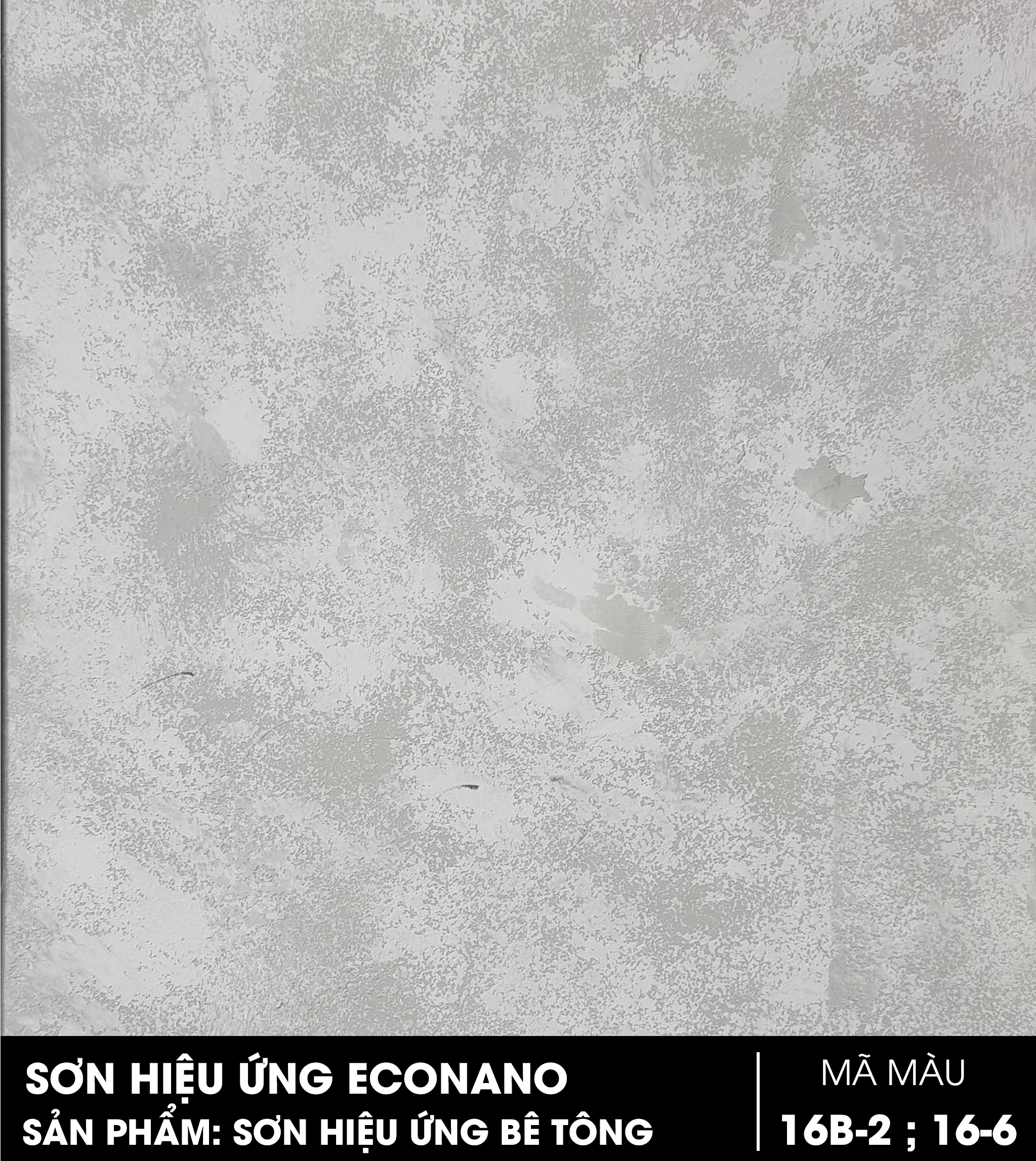ECONANO ST16B-2 _ EC16-6 ECONANO ST16B 2 EC16 6