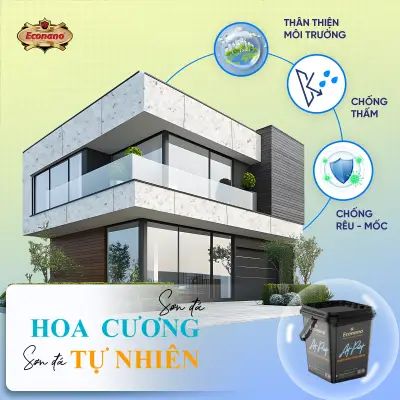 căn nhà được sơn đá econano 